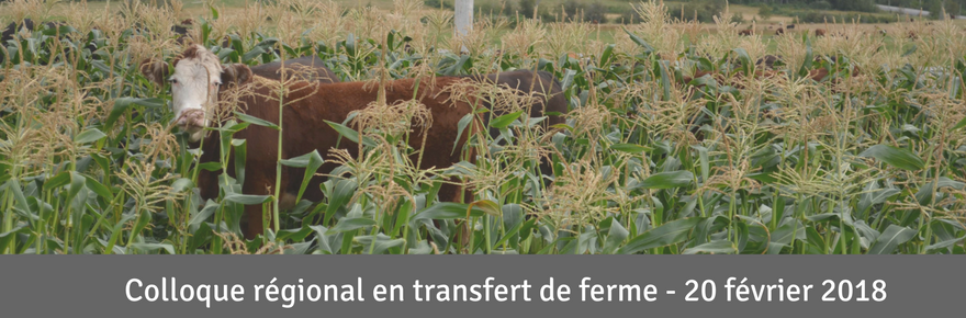 Colloque régional en transfert de ferme 2018