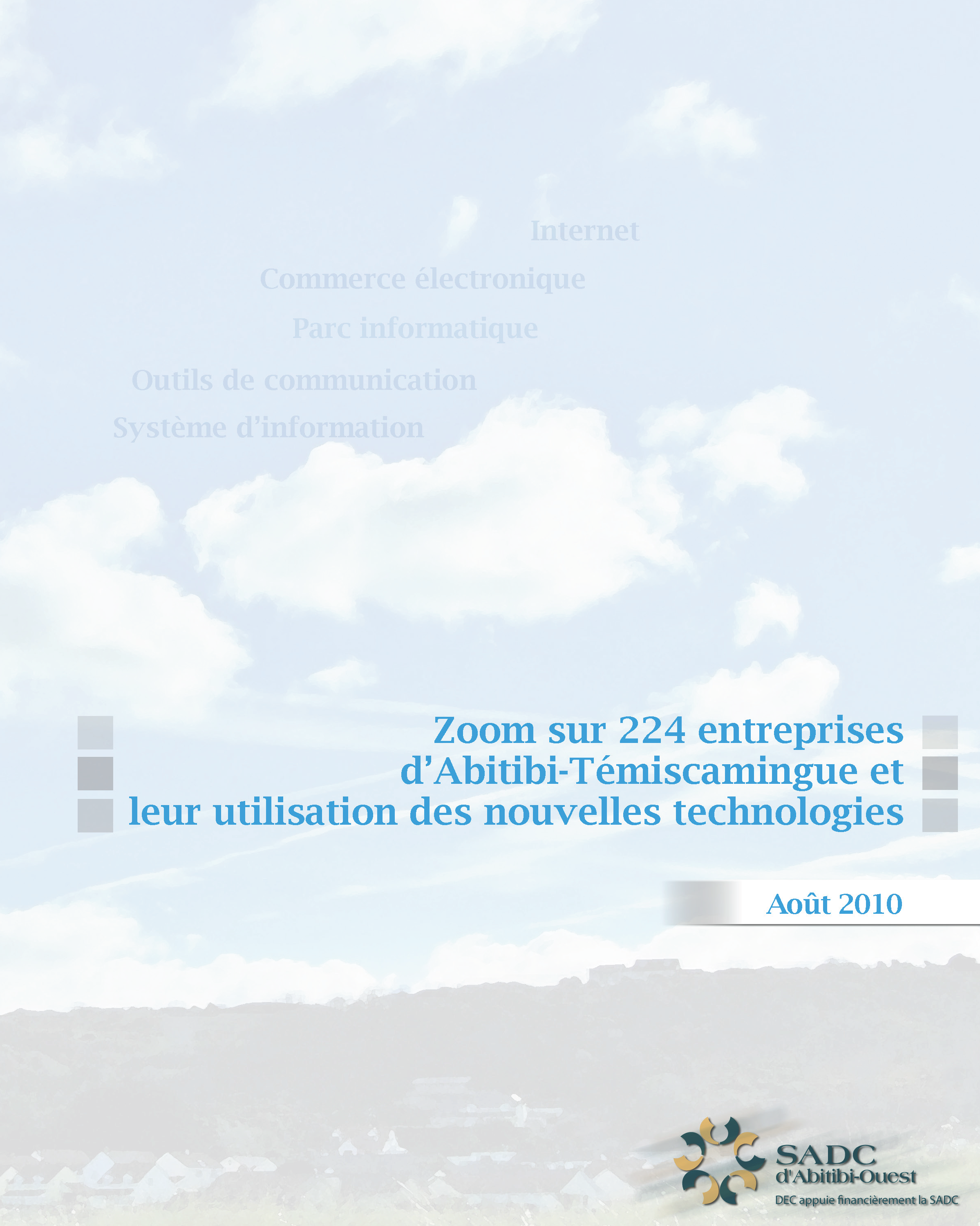 Rapport NTIC et entreprises