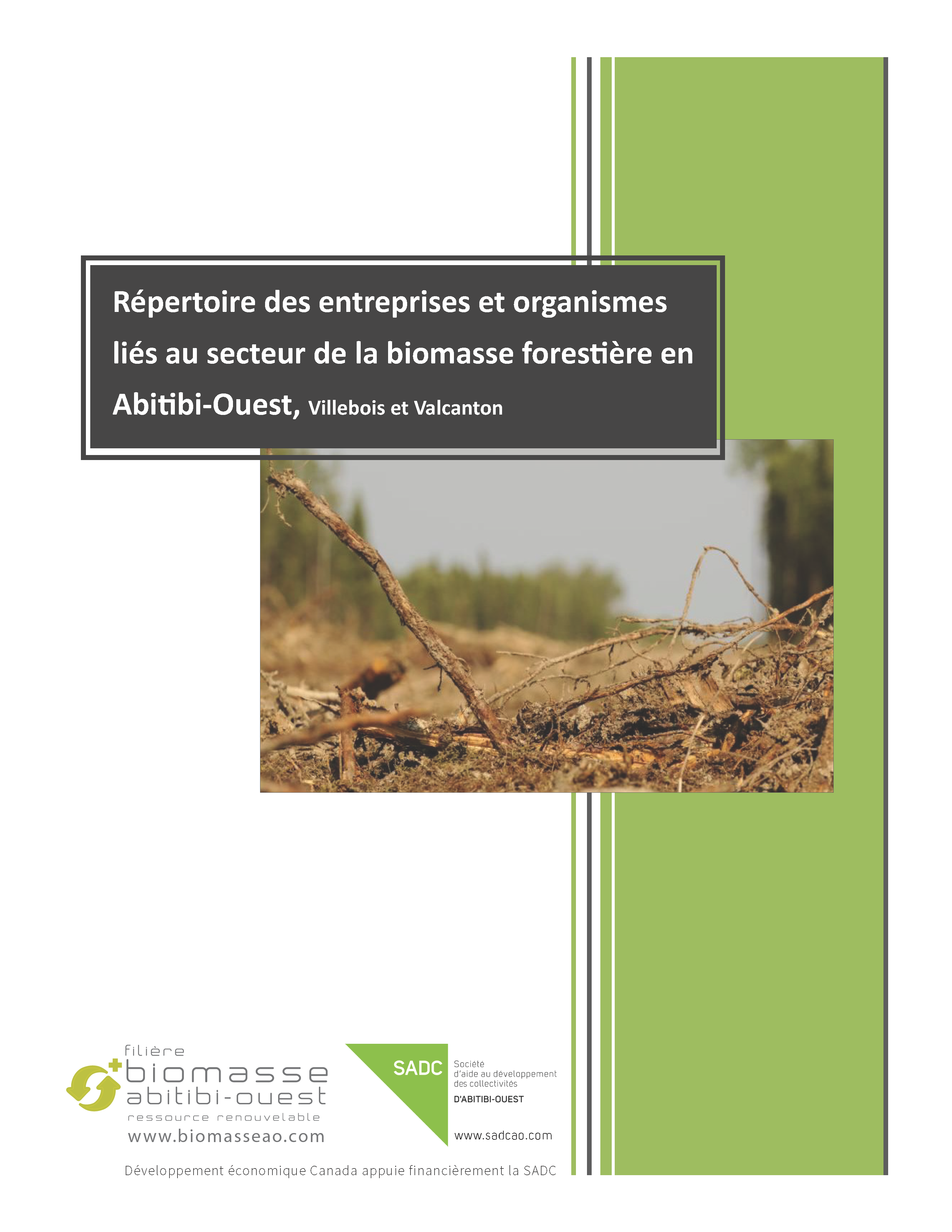 Répertoire des entreprises et organismes liés au secteur de la biomasse forestière en AO, VVB