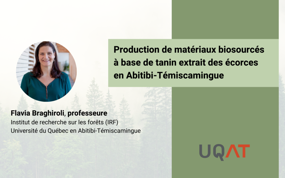 Production de matériaux biosourcés à base de tanin extrait des écorces en Abitibi-Témiscamingue